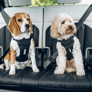 Thule Cappy – Crashtestet Bilsele til Hund